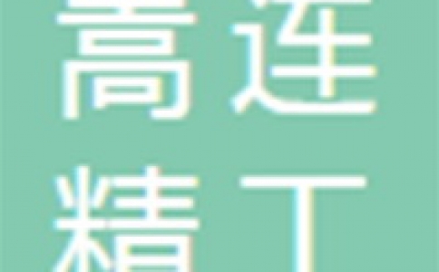 大连嵩连精工电子